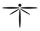 dragonflyilllusion